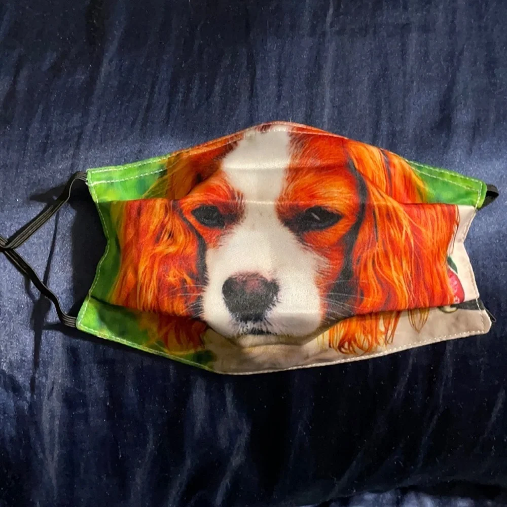 6/$20 New dog face mask